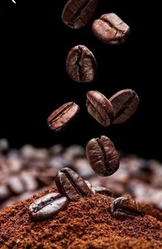 coffee beans fall into the ground and are being tossed over by some kind of food