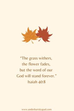 the grass withers, the flower fadess, but the word of our god will stand forever