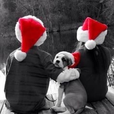 two people sitting on a dock with a dog wearing santa hats