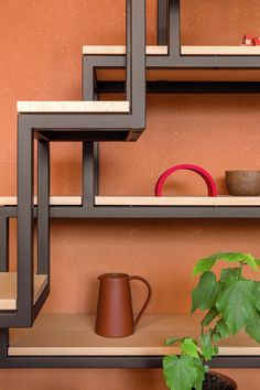 shelves with pots, cups and plants on them