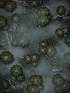 an aerial view of some trees in the fog