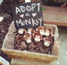 stuffed monkeys are sitting in a basket with a sign that says adopt a monkey on it