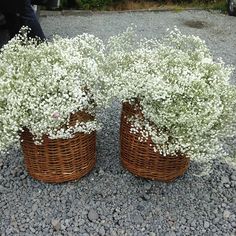 two wicker baskets filled with white flowers on gravel