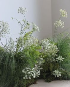 some white flowers and green plants in a room