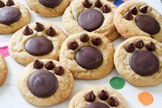 chocolate chip cookies are arranged on a table