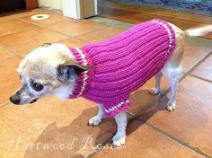 a small dog wearing a pink sweater on the floor