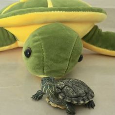 a stuffed turtle sitting on top of a pillow next to a stuffed turtle with it's head in the shape of a turtle