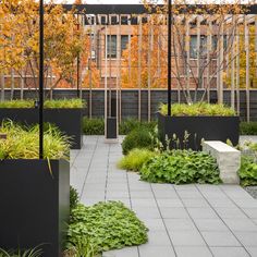 an outdoor courtyard with various plants and trees