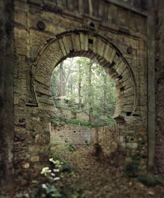 an old brick arch in the middle of a forest