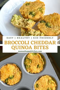 Broccoli Cheddar Quinoa Bites in a muffin tin and on a plate. Broccoli Cheddar Quinoa Bites, Baby Quinoa Bites, Broccoli Quinoa Bites, Broccoli Cheddar Quinoa, Quinoa Cups, Quinoa Bites, Baby Led Feeding, Easy Baby Food Recipes, Healthy Baby Food