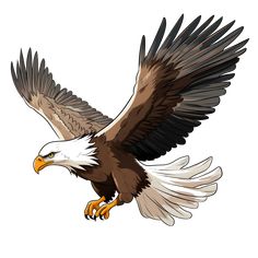 an eagle flying in the air with its wings spread