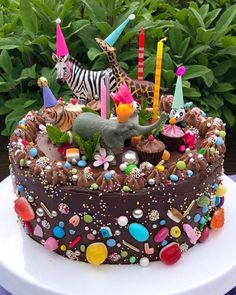 a cake decorated with animals and candles on top of a white plate in front of some plants