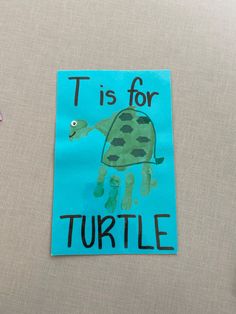 a piece of paper with a turtle drawn on it and the words t is for turtle