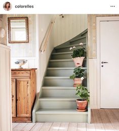 some plants are growing on the stairs in this house