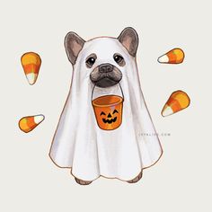 a dog wearing a ghost costume holding a cup with candy in it's mouth