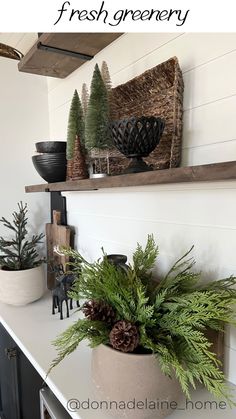 the kitchen counter is decorated with pine cones, evergreens and potted plants on it