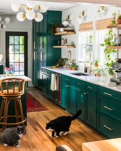 two cats in a kitchen with green cabinets and wood floors, one black and the other white