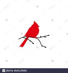 a red bird sitting on top of a tree branch