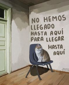 a cat sitting on top of a blue chair in front of a wall with words painted on it