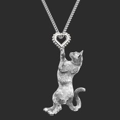 a cat with a heart shaped pendant on it's neck