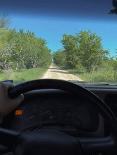 a person driving a car on a dirt road in the woods with trees and grass