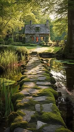 a stone path leading to a house with moss growing on the ground and trees around it