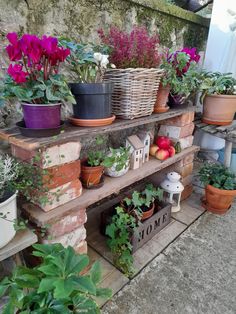 many potted plants are sitting on a shelf outside in front of a stone wall