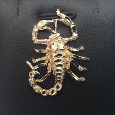 10k Solid Yellow Real Gold Scorpion Pendant 3d Scorpio Zodiac Charm 4.50 Gr Metal Type: 10k Solid Yellow Real Gold Weight: 4.50 Grams Width: 1 Inch Wide Length: 1 1/2 Inches Long With Bail Comes With A Gift Box Scorpion Jewelry, Gold Scorpion, Scorpio Zodiac, Astrology Zodiac, Solid Yellow, Real Gold, Scorpion, Gold Pendant, Types Of Metal