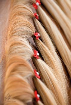 long blonde hair with red flowers pinned to it's sides, close up view