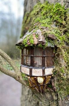 a birdhouse built into the side of a tree trunk with moss growing on it