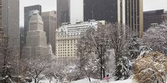 the city is covered in snow and it's wintery grounds are full of tall buildings