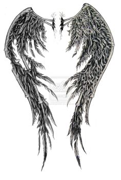 an artistic drawing of two wings with black and white feathers on them, facing each other