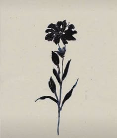 a black and white photo of a flower