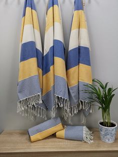 two blue and yellow striped towels hanging on a wall next to a potted plant