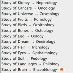 a table with some words on it and pictures in the bottom right corner, including text that reads study of kidney - nephroleology