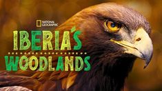 an eagle with the words iberia's woodlandss in green and yellow on it