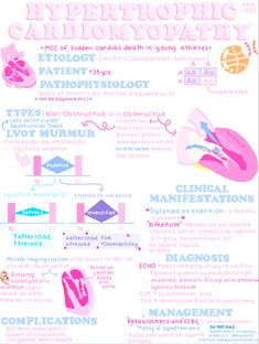 the anatomy of an animal's heart and its functions info sheet, with instructions on how to use it