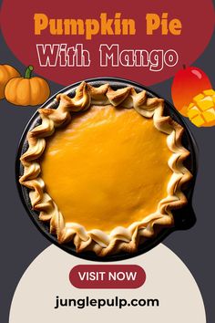 a pumpkin pie with mango in the middle on a black background and text that reads, visit now