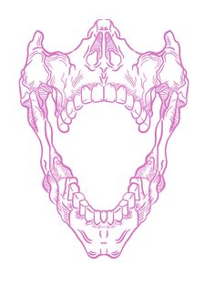 a drawing of an animal's teeth