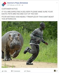 a man running next to a hippopotamus on a dirt road in front of green grass