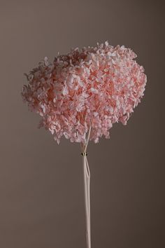 a pink flower in a glass vase on a white tablecloth with a brown background