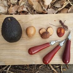 an avocado, nuts, and knifes are on a cutting board with leaves