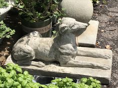 a statue of a dog sitting on top of a cement block next to plants and potted plants