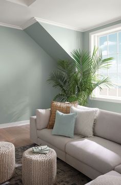 a living room filled with furniture and a potted plant