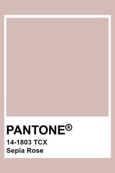 the pantone color is shown in white and beige, with black lettering on it