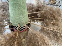 a vase filled with lots of dry grass