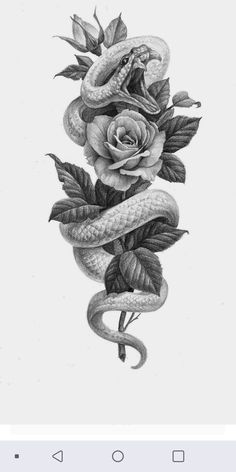 a pencil drawing of a snake and rose with leaves on the bottom, in black and white