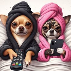 two chihuahuas dressed up in robes and holding remote controls, one with a cell phone