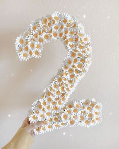 someone is holding up the number two made out of daisies on a white surface