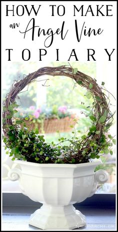 a white bowl filled with greenery and the words how to make an angel vine topiary